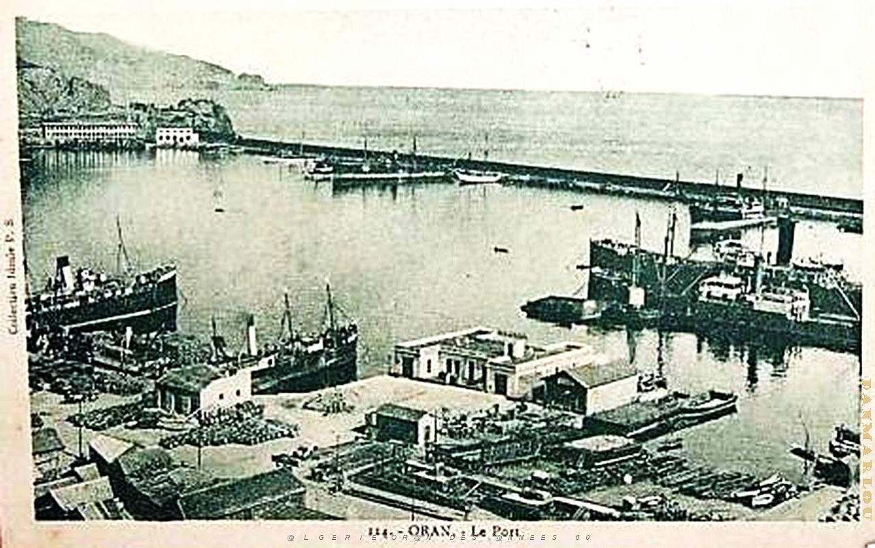 PO b- 151.jpg